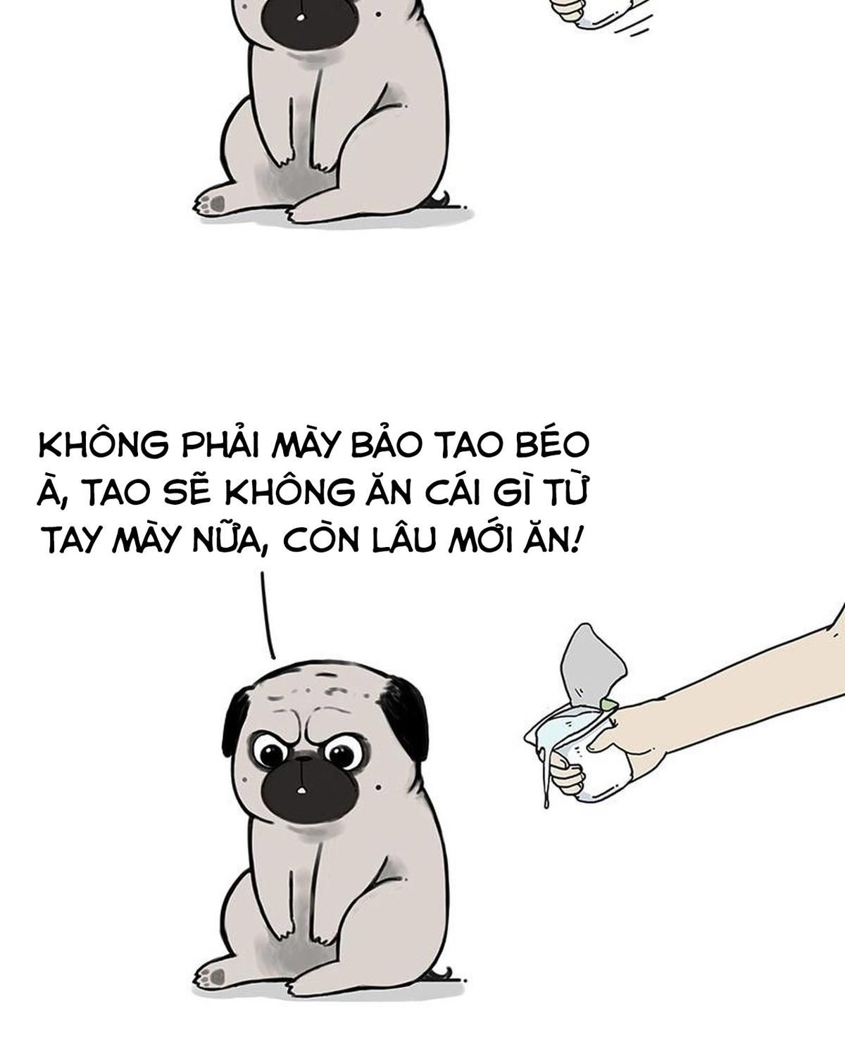 Hoàng Thượng và Ba Trát Hắc: Chapter 172