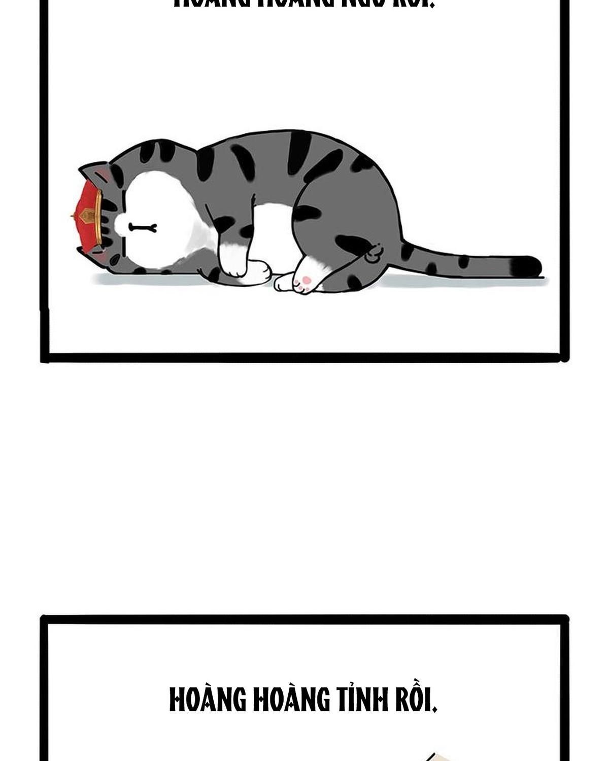 Hoàng Thượng và Ba Trát Hắc: Chapter 172