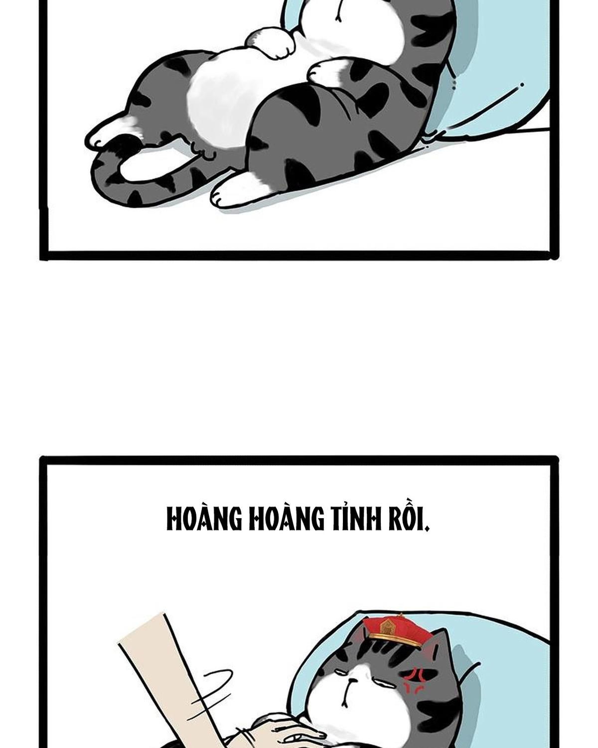 Hoàng Thượng và Ba Trát Hắc: Chapter 172