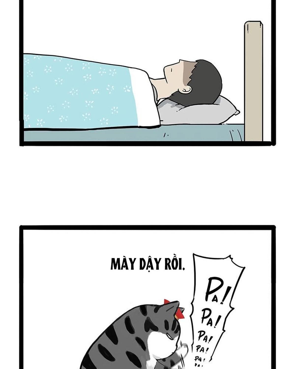 Hoàng Thượng và Ba Trát Hắc: Chapter 172