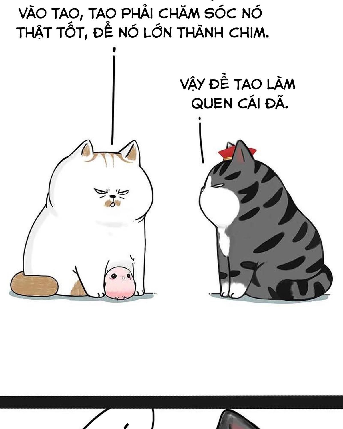 Hoàng Thượng và Ba Trát Hắc: Chapter 172