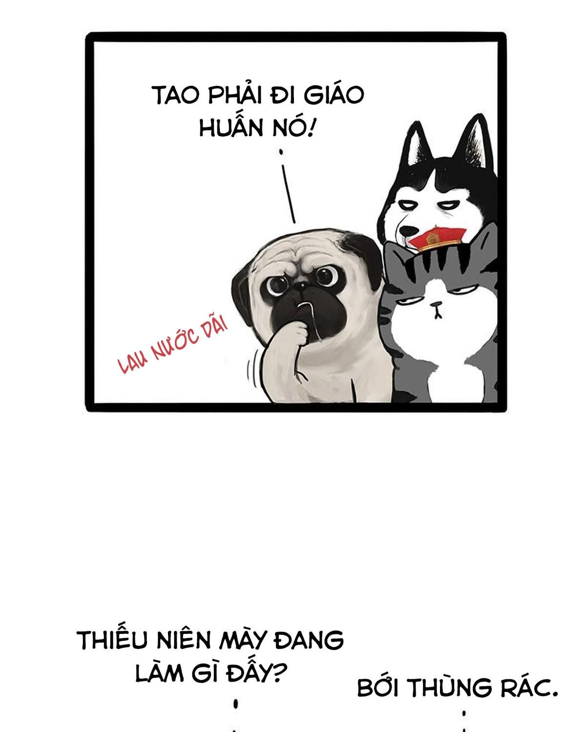 Hoàng Thượng và Ba Trát Hắc: Chapter 173