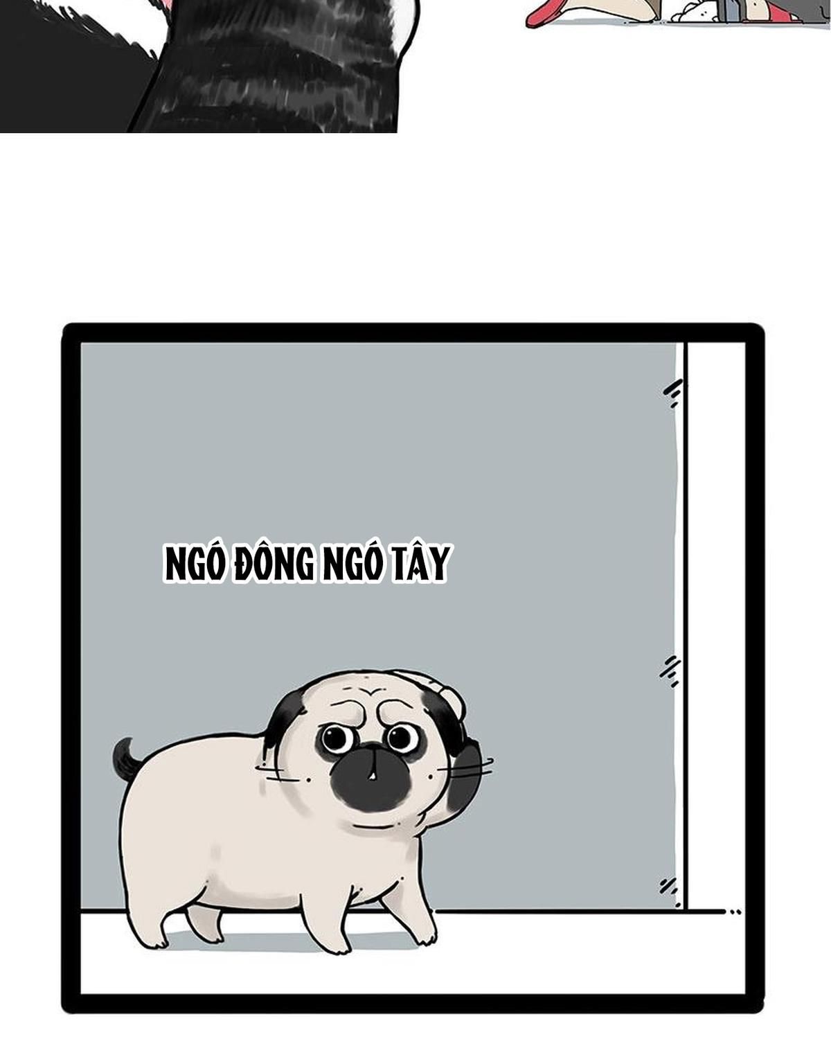 Hoàng Thượng và Ba Trát Hắc: Chapter 173