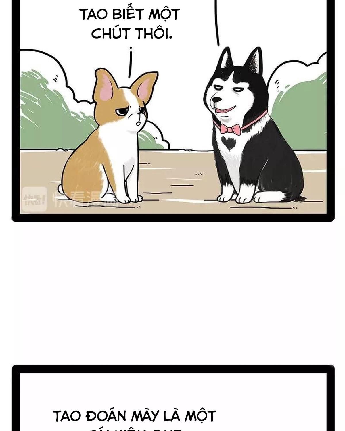 Hoàng Thượng và Ba Trát Hắc: Chapter 174