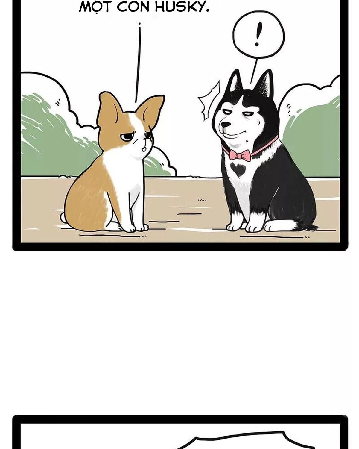 Hoàng Thượng và Ba Trát Hắc: Chapter 174