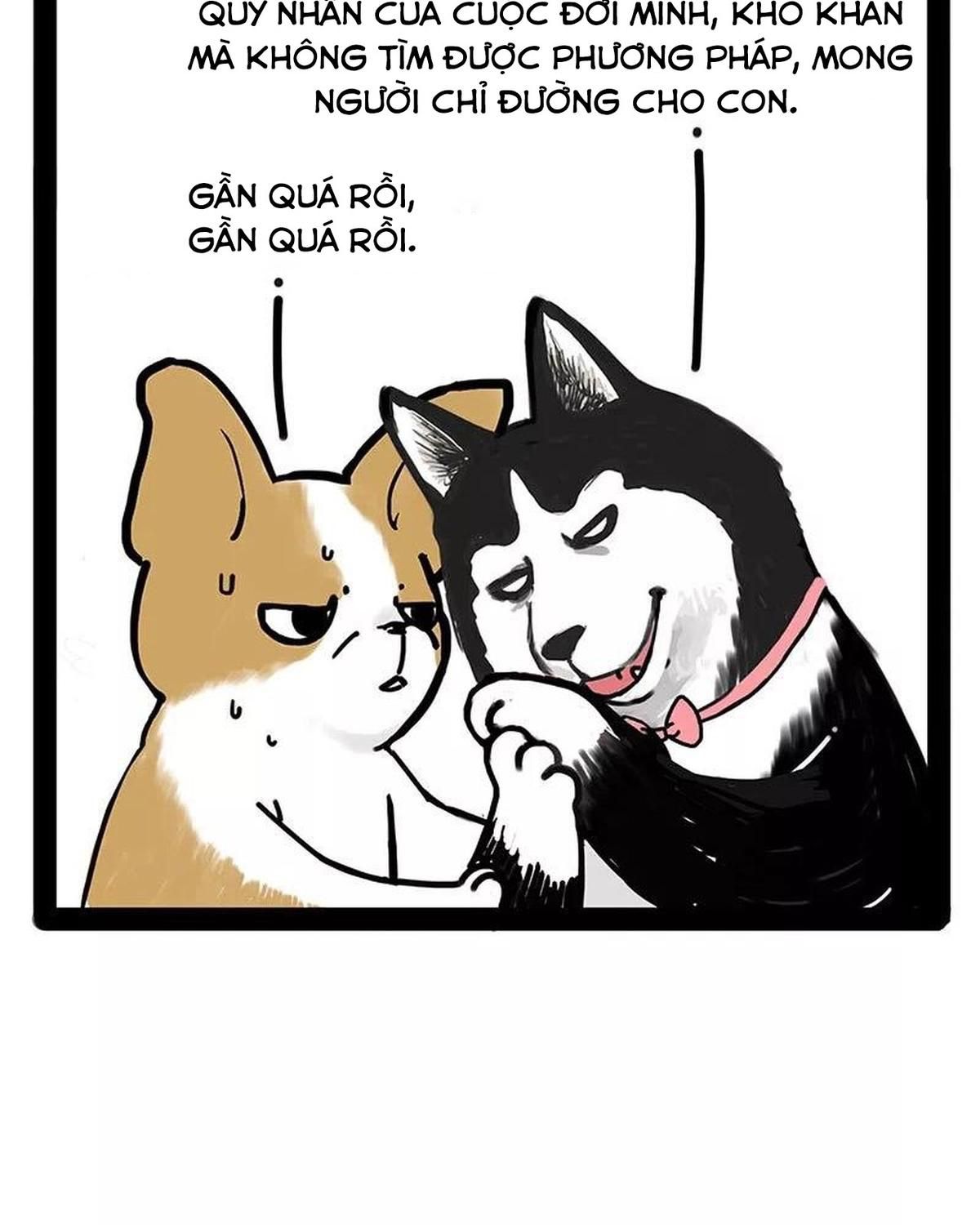 Hoàng Thượng và Ba Trát Hắc: Chapter 174