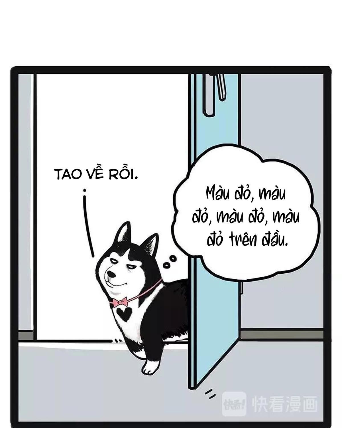 Hoàng Thượng và Ba Trát Hắc: Chapter 174