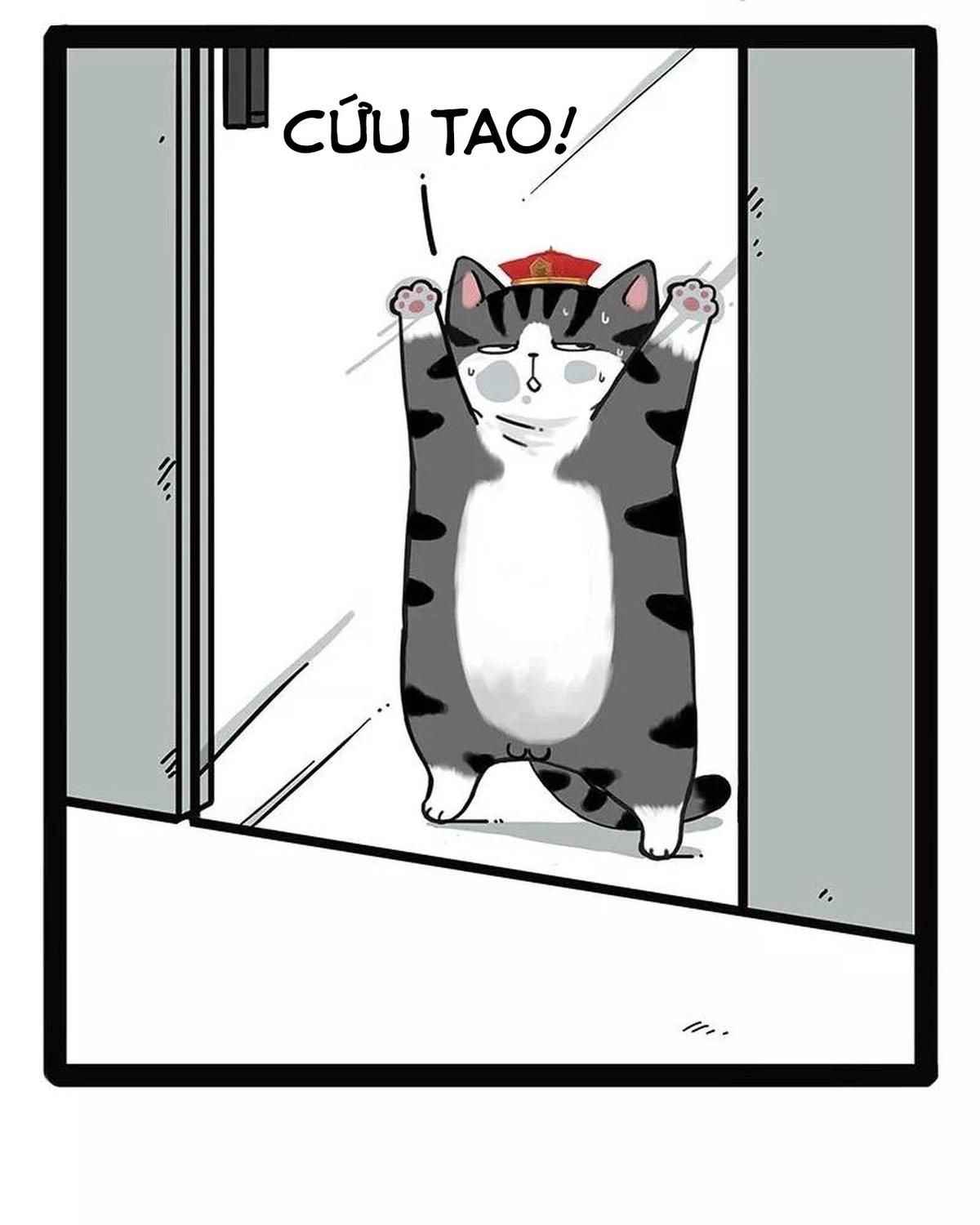 Hoàng Thượng và Ba Trát Hắc: Chapter 174