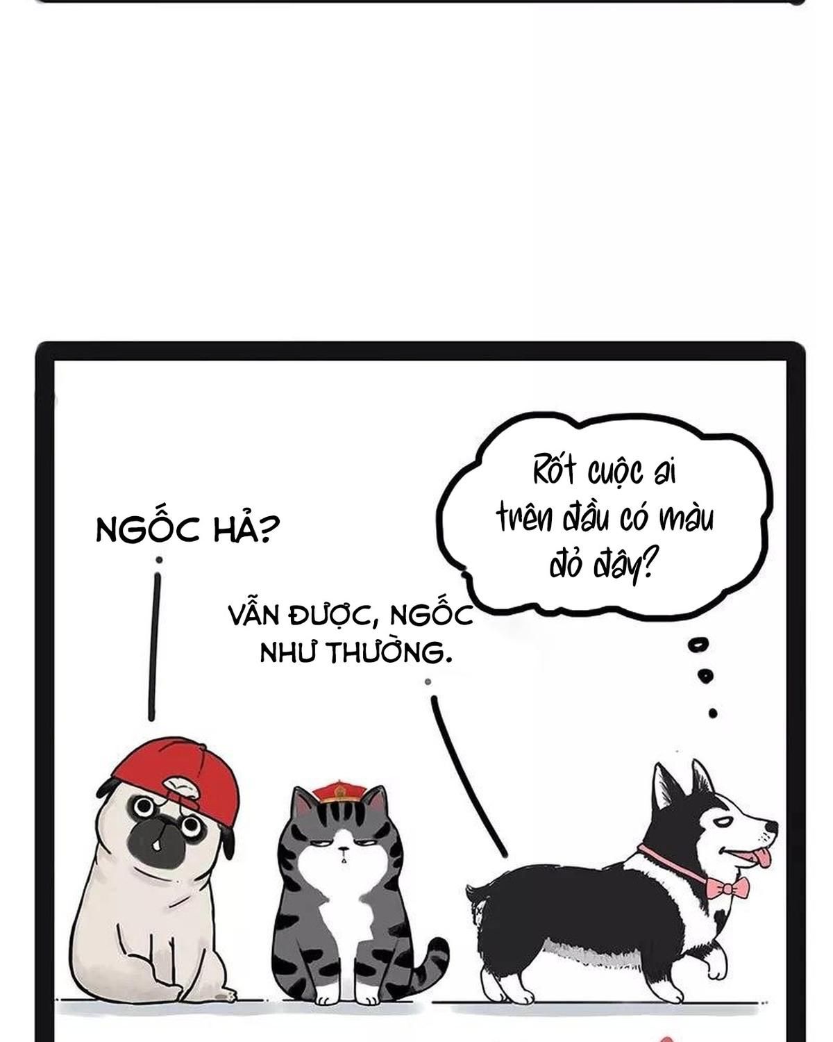 Hoàng Thượng và Ba Trát Hắc: Chapter 174