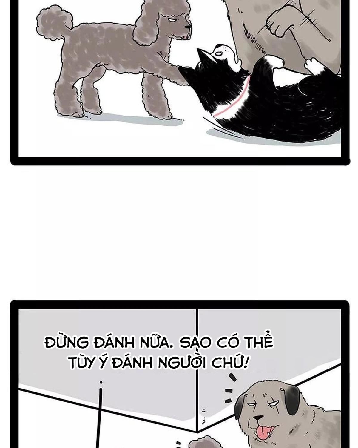 Hoàng Thượng và Ba Trát Hắc: Chapter 174