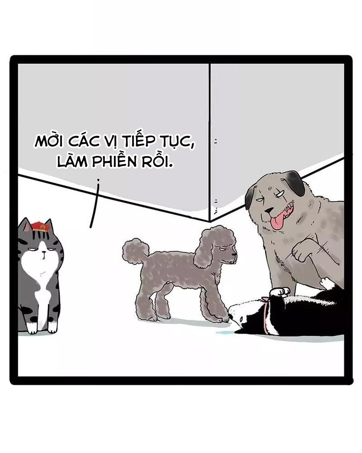 Hoàng Thượng và Ba Trát Hắc: Chapter 174