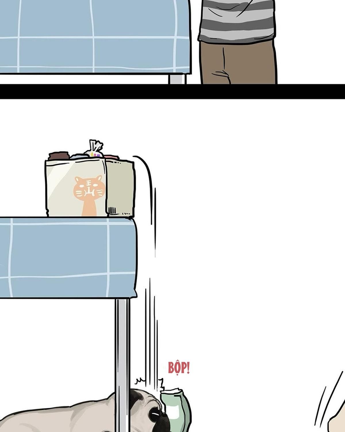 Hoàng Thượng và Ba Trát Hắc: Chapter 181