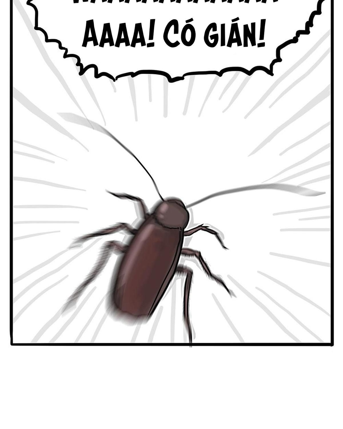 Hoàng Thượng và Ba Trát Hắc: Chapter 181