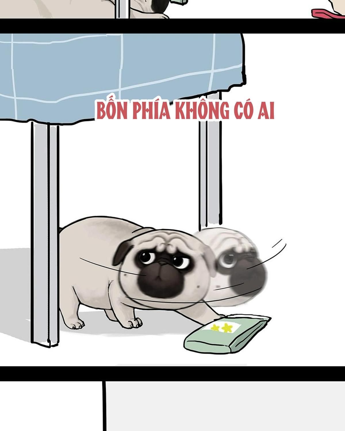 Hoàng Thượng và Ba Trát Hắc: Chapter 181