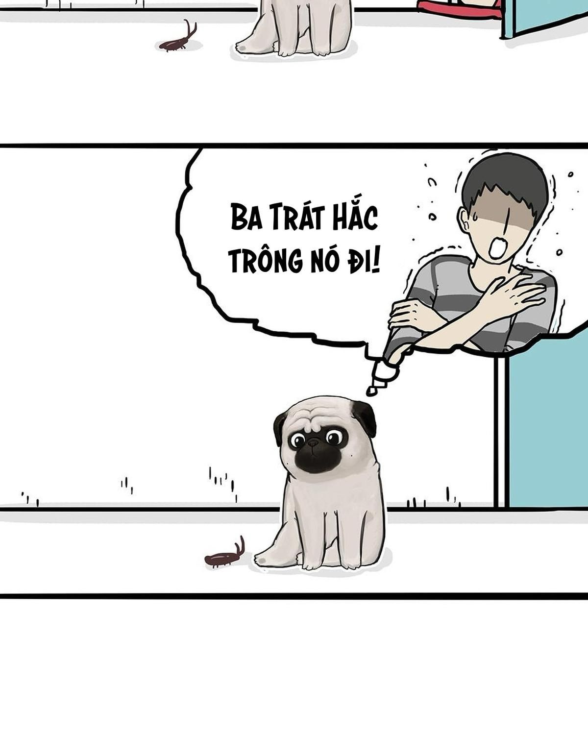 Hoàng Thượng và Ba Trát Hắc: Chapter 181