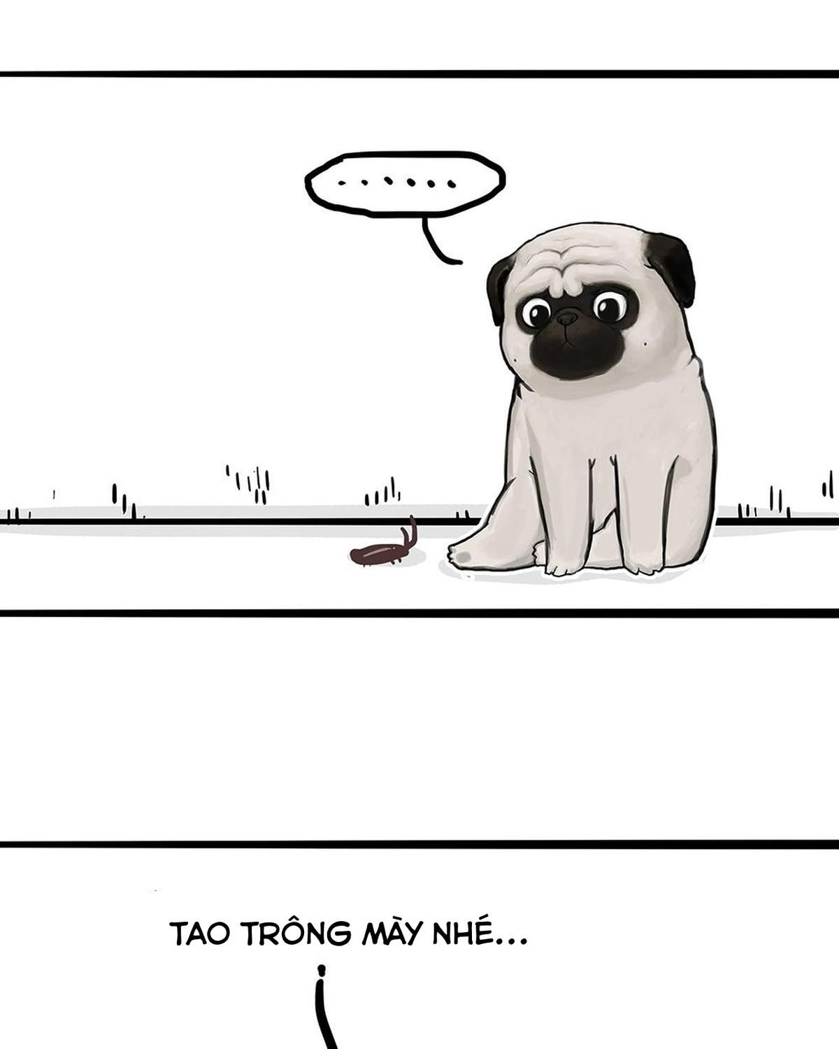 Hoàng Thượng và Ba Trát Hắc: Chapter 181