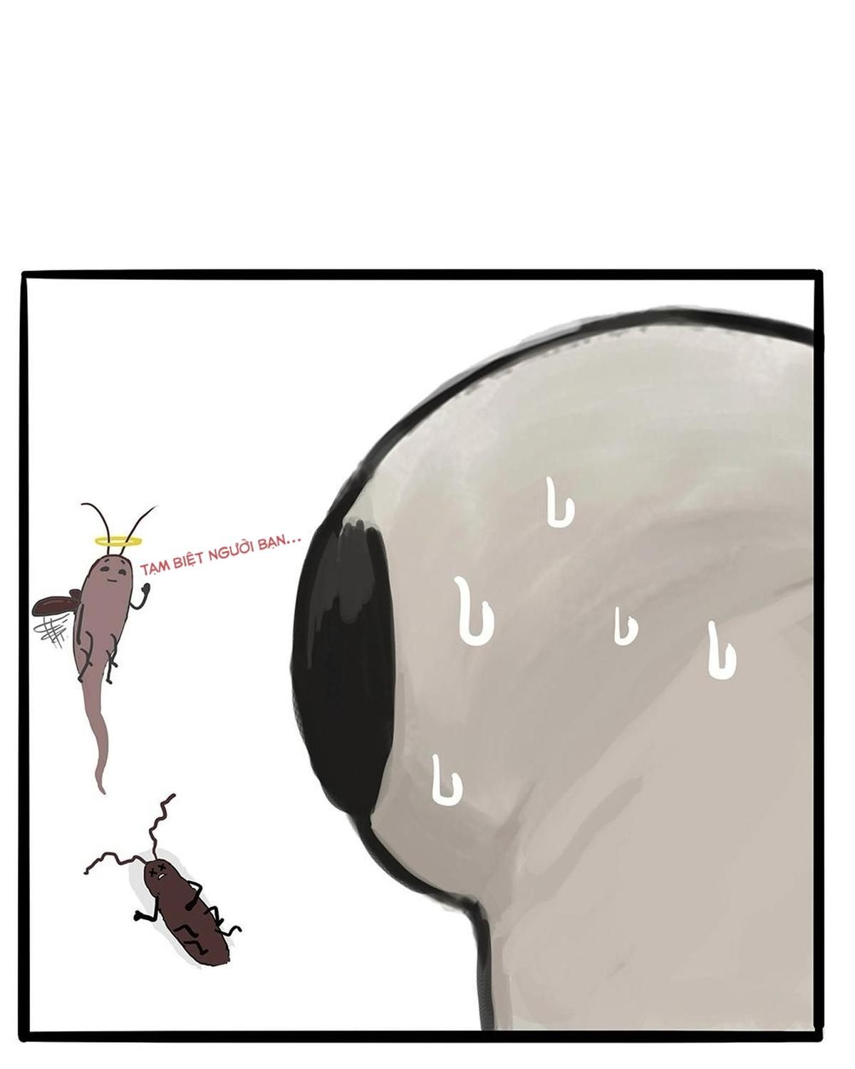 Hoàng Thượng và Ba Trát Hắc: Chapter 181