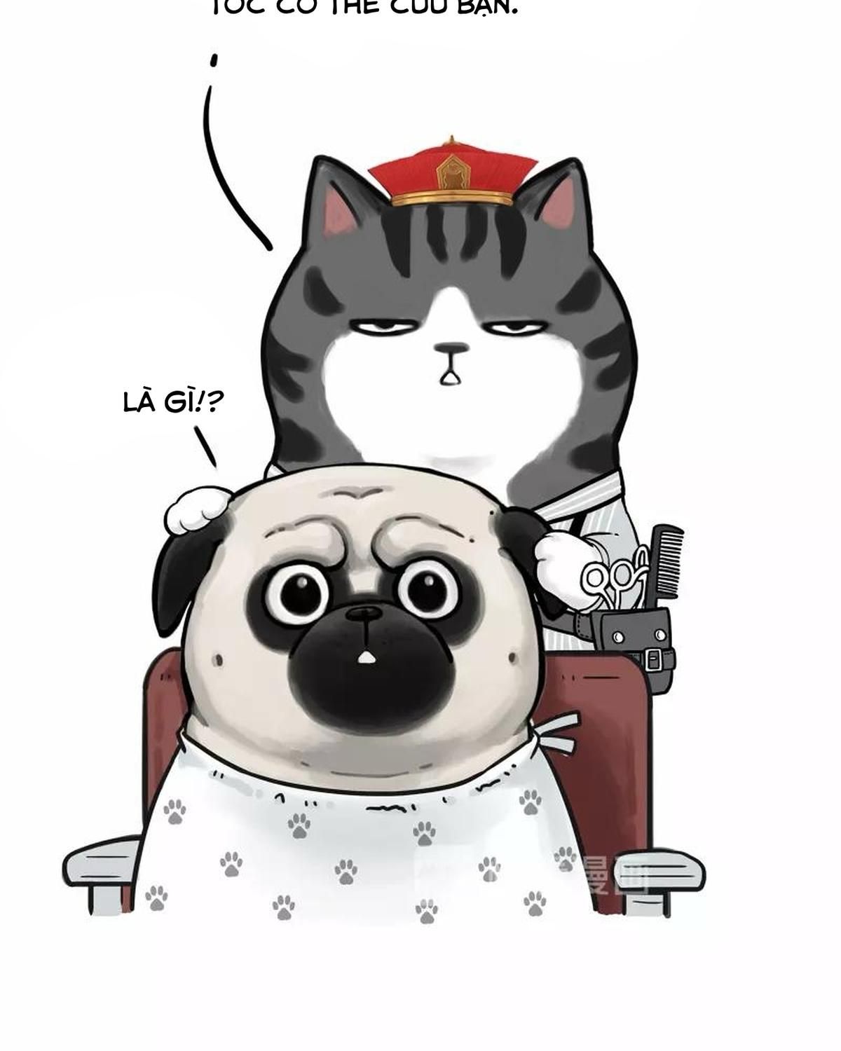 Hoàng Thượng và Ba Trát Hắc: Chapter 182