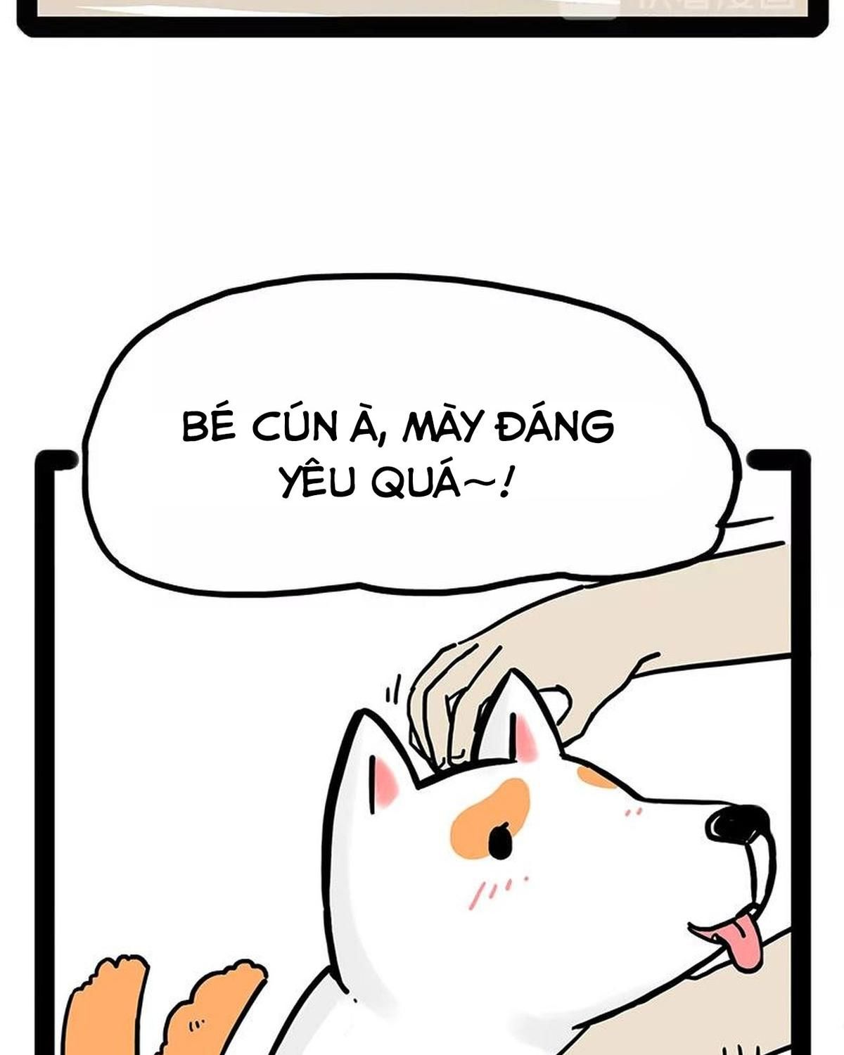 Hoàng Thượng và Ba Trát Hắc: Chapter 184