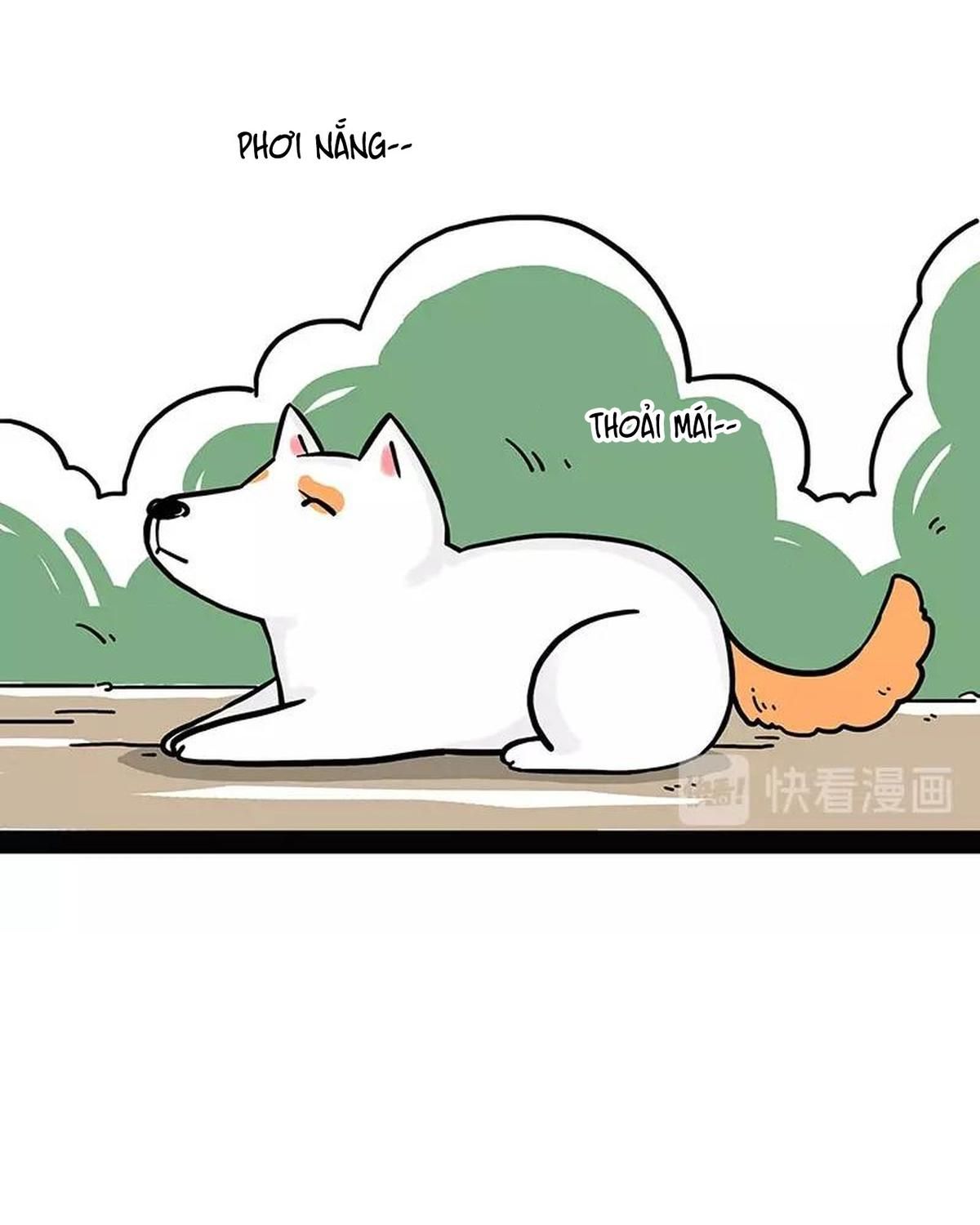 Hoàng Thượng và Ba Trát Hắc: Chapter 184