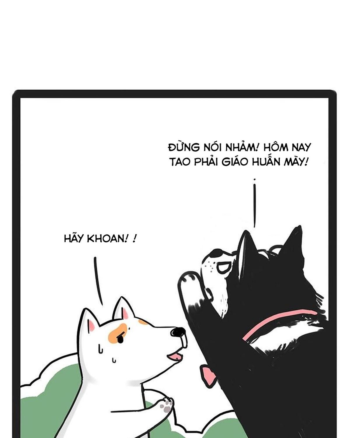 Hoàng Thượng và Ba Trát Hắc: Chapter 184