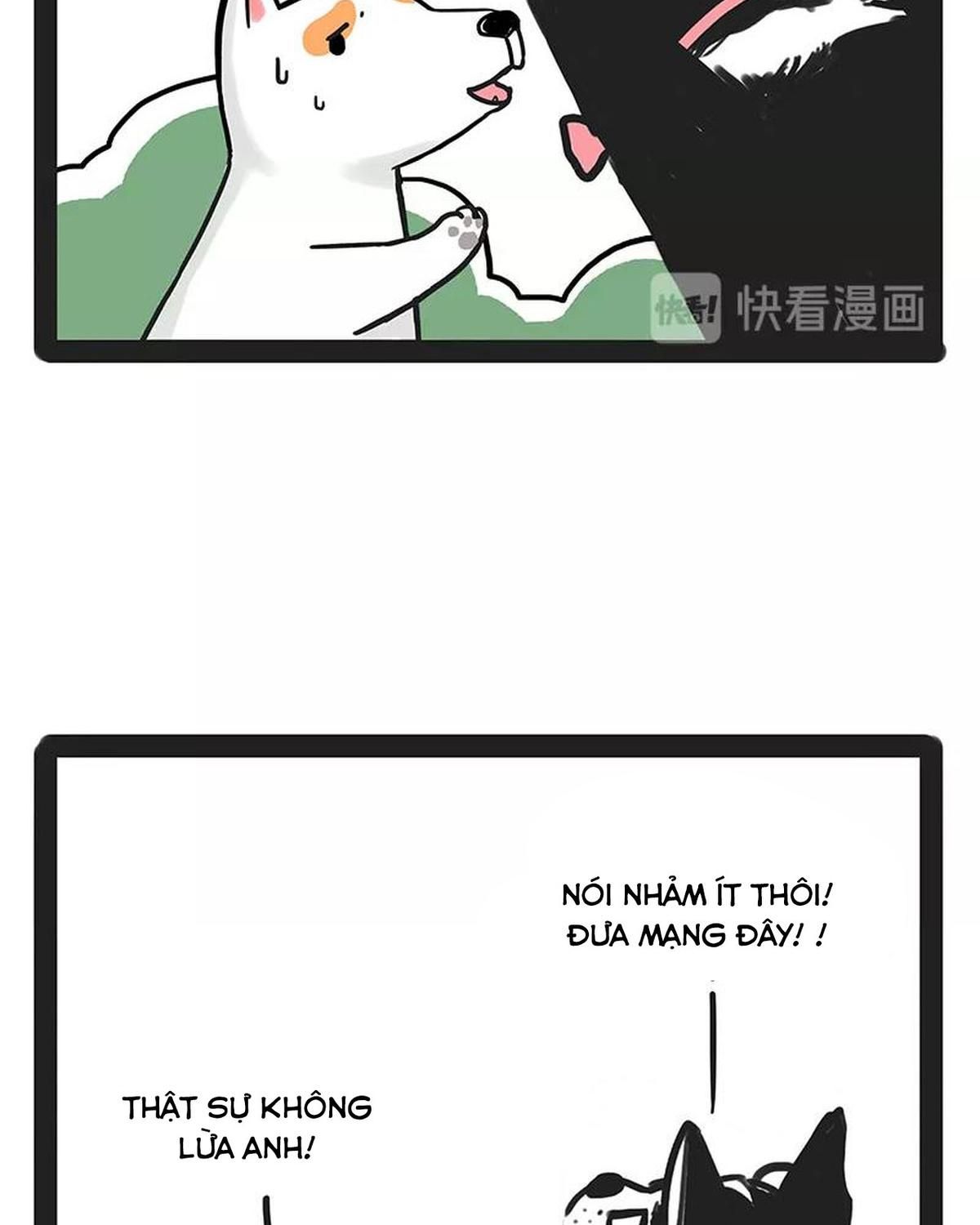 Hoàng Thượng và Ba Trát Hắc: Chapter 184