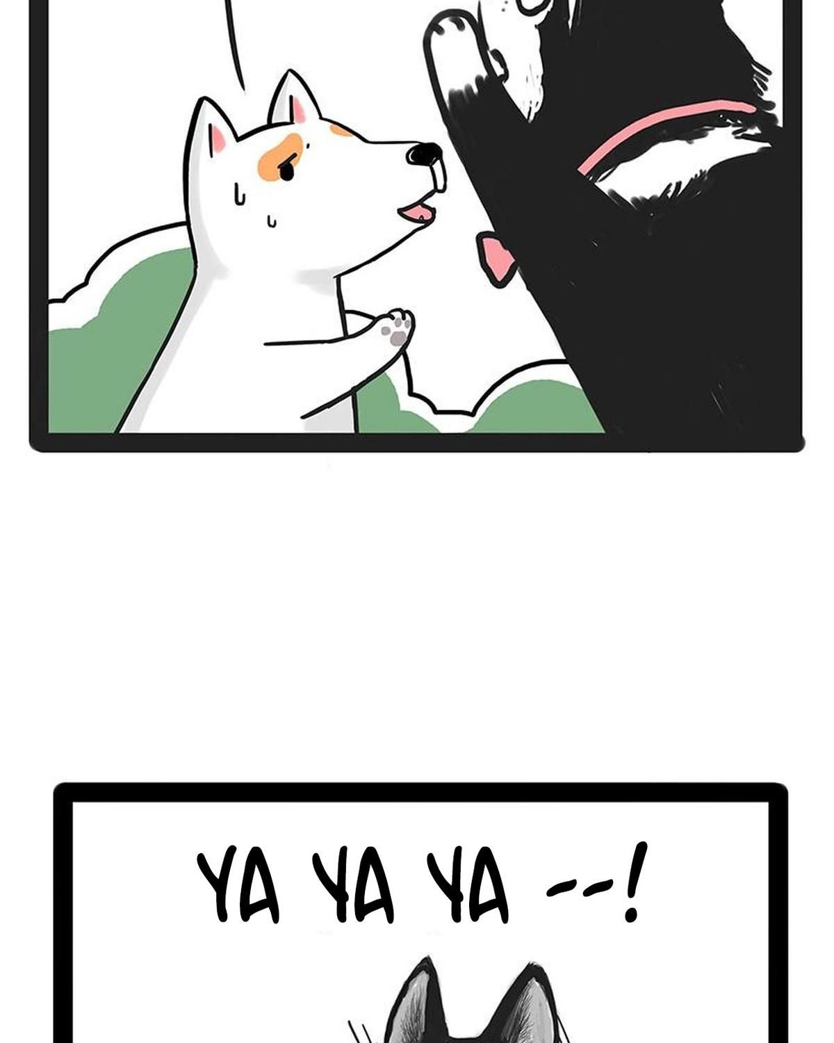 Hoàng Thượng và Ba Trát Hắc: Chapter 184