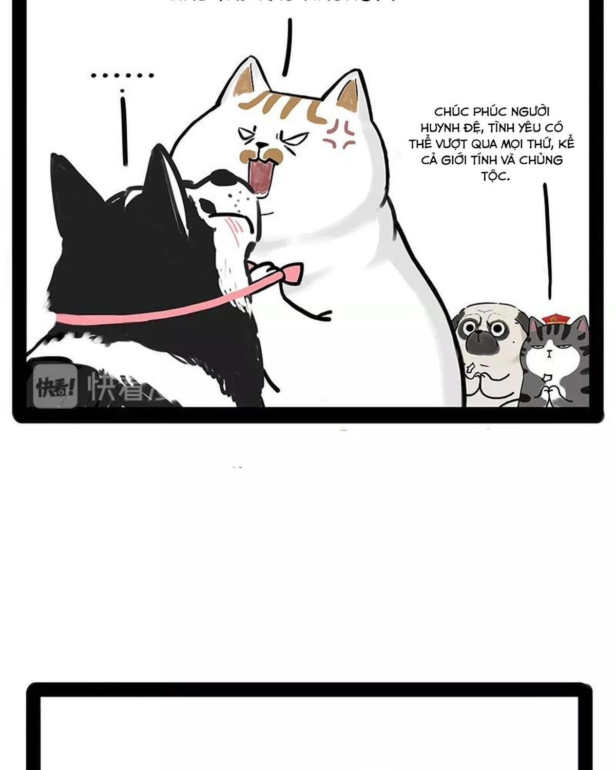 Hoàng Thượng và Ba Trát Hắc: Chapter 184