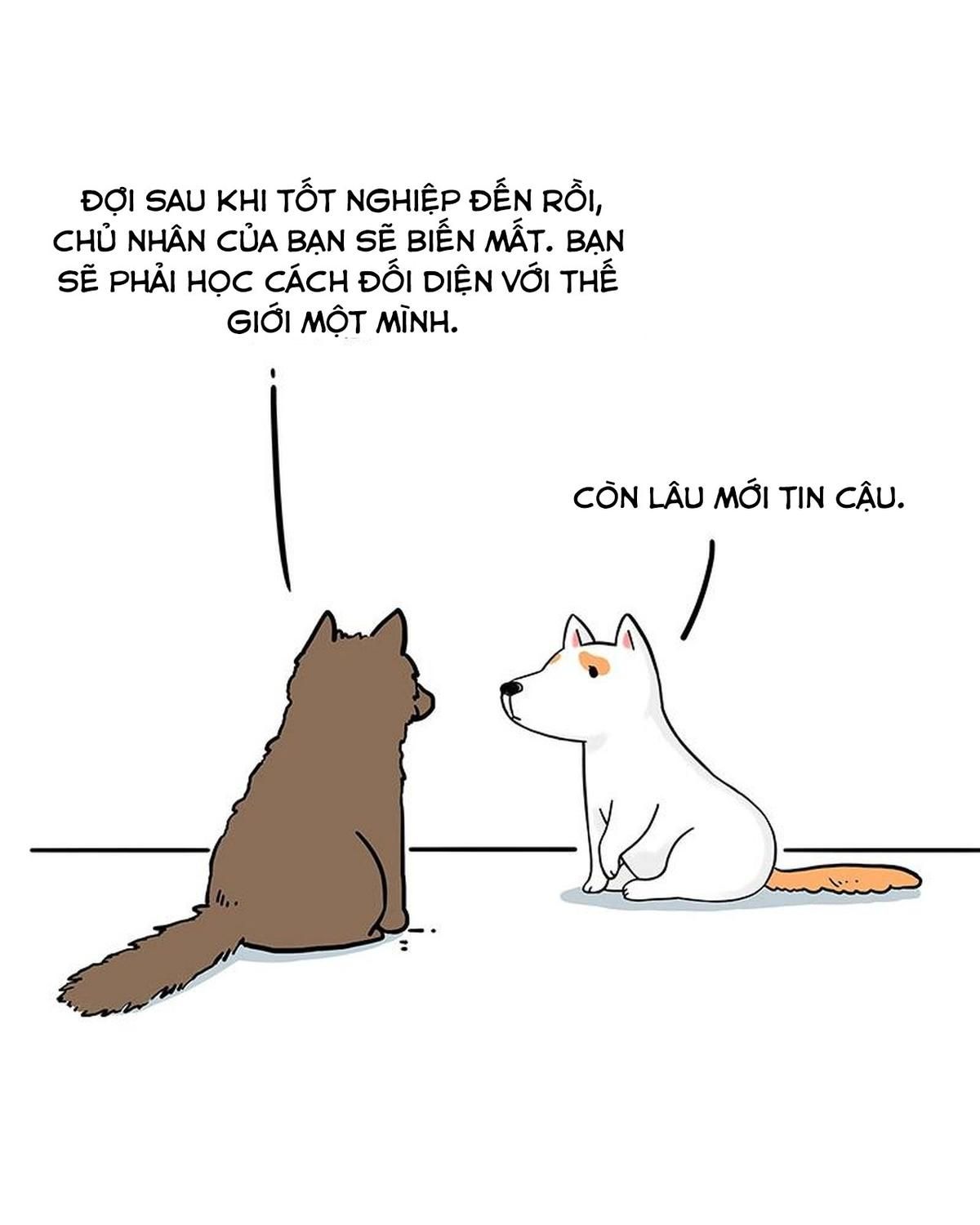 Hoàng Thượng và Ba Trát Hắc: Chapter 184