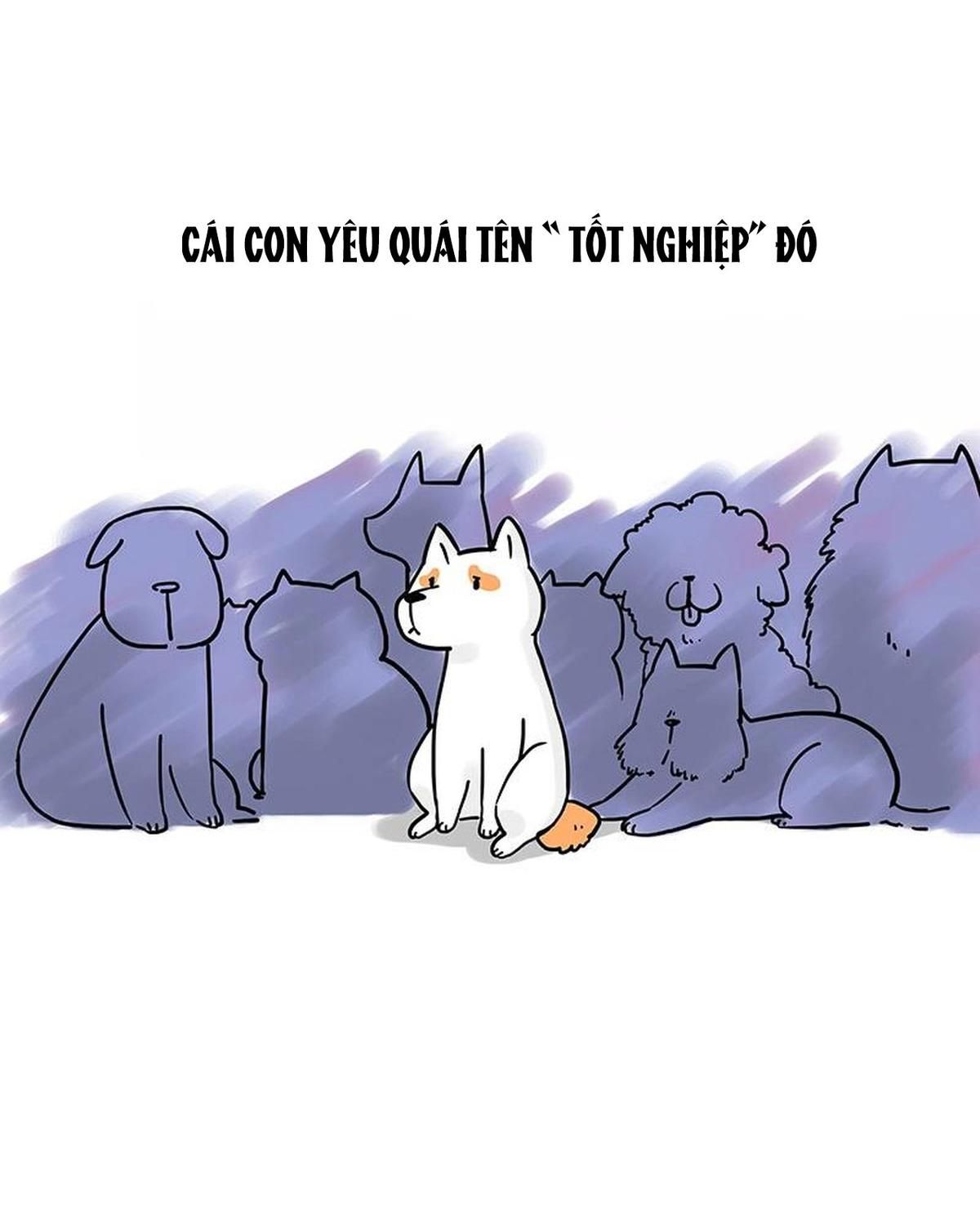 Hoàng Thượng và Ba Trát Hắc: Chapter 184