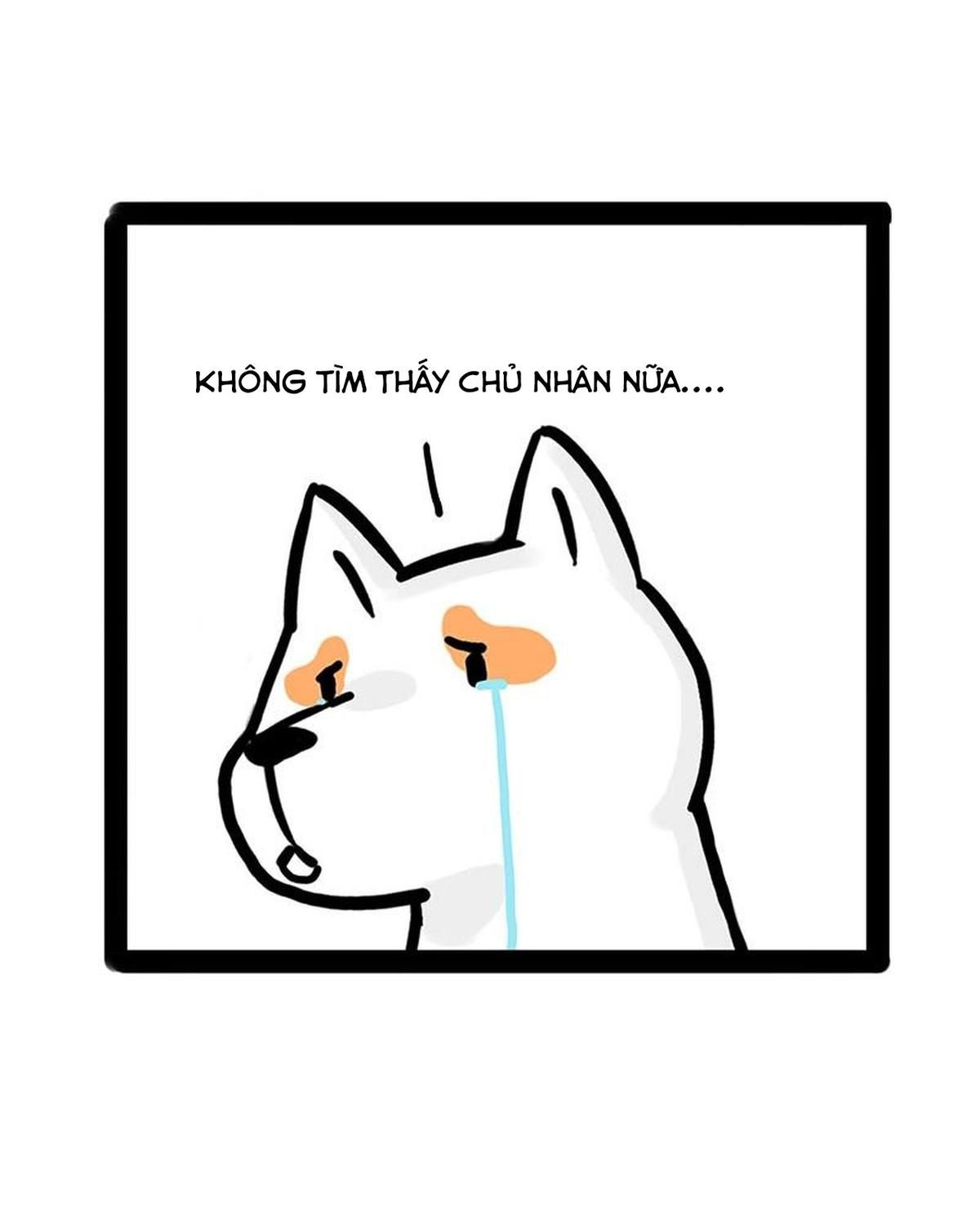 Hoàng Thượng và Ba Trát Hắc: Chapter 184