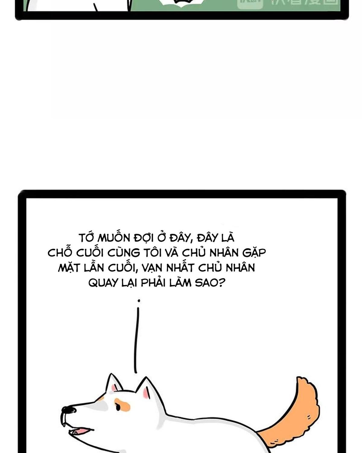 Hoàng Thượng và Ba Trát Hắc: Chapter 184