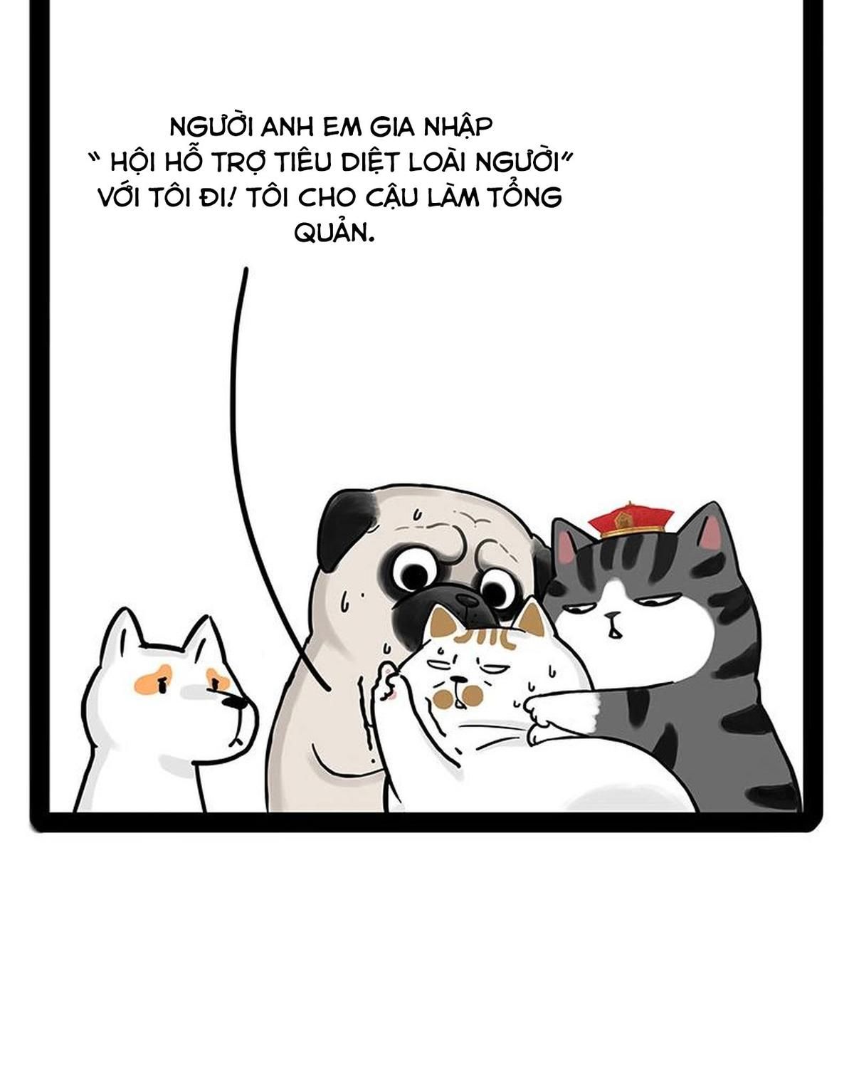 Hoàng Thượng và Ba Trát Hắc: Chapter 184