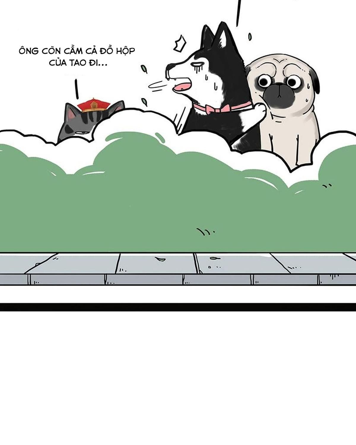 Hoàng Thượng và Ba Trát Hắc: Chapter 184