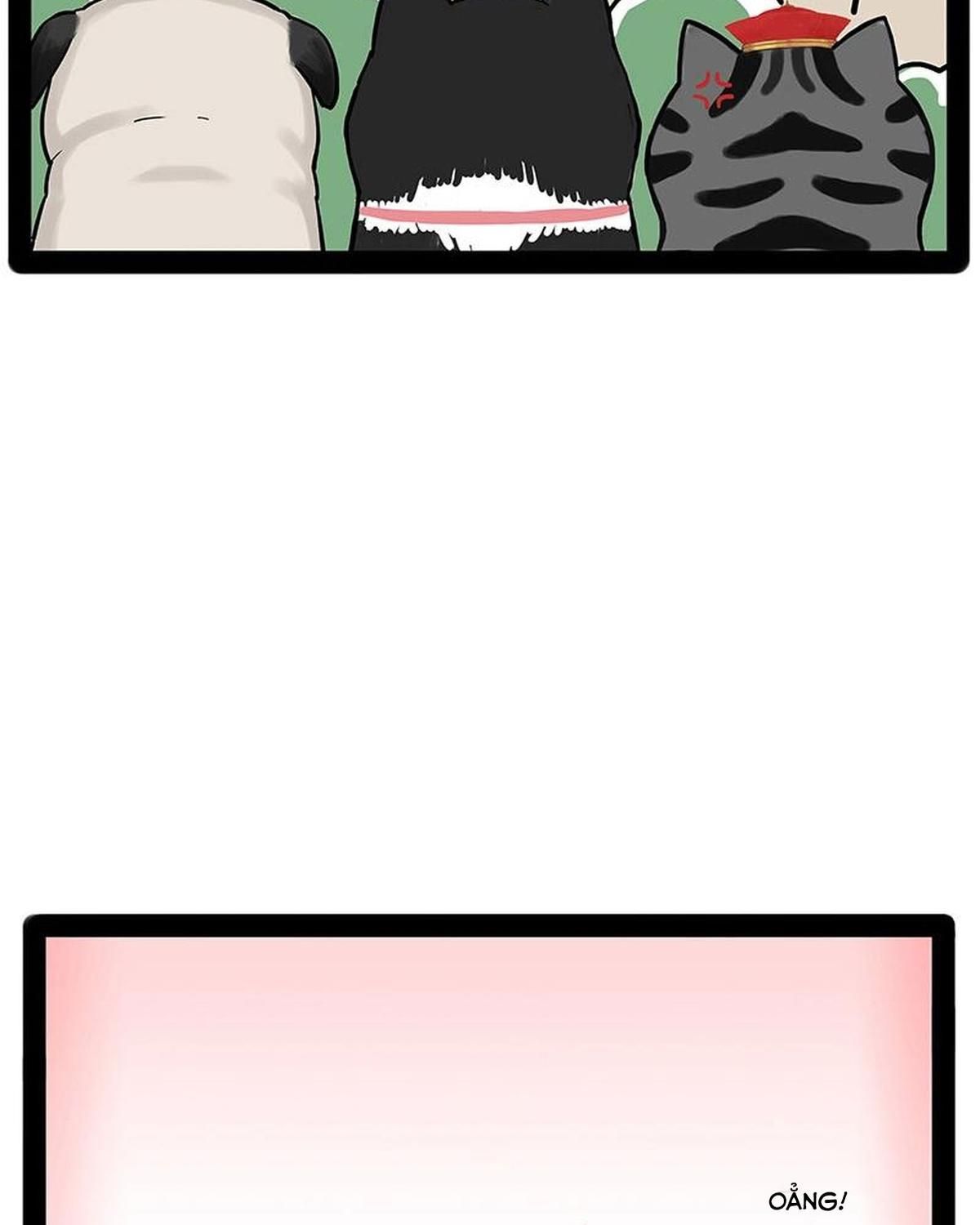 Hoàng Thượng và Ba Trát Hắc: Chapter 184