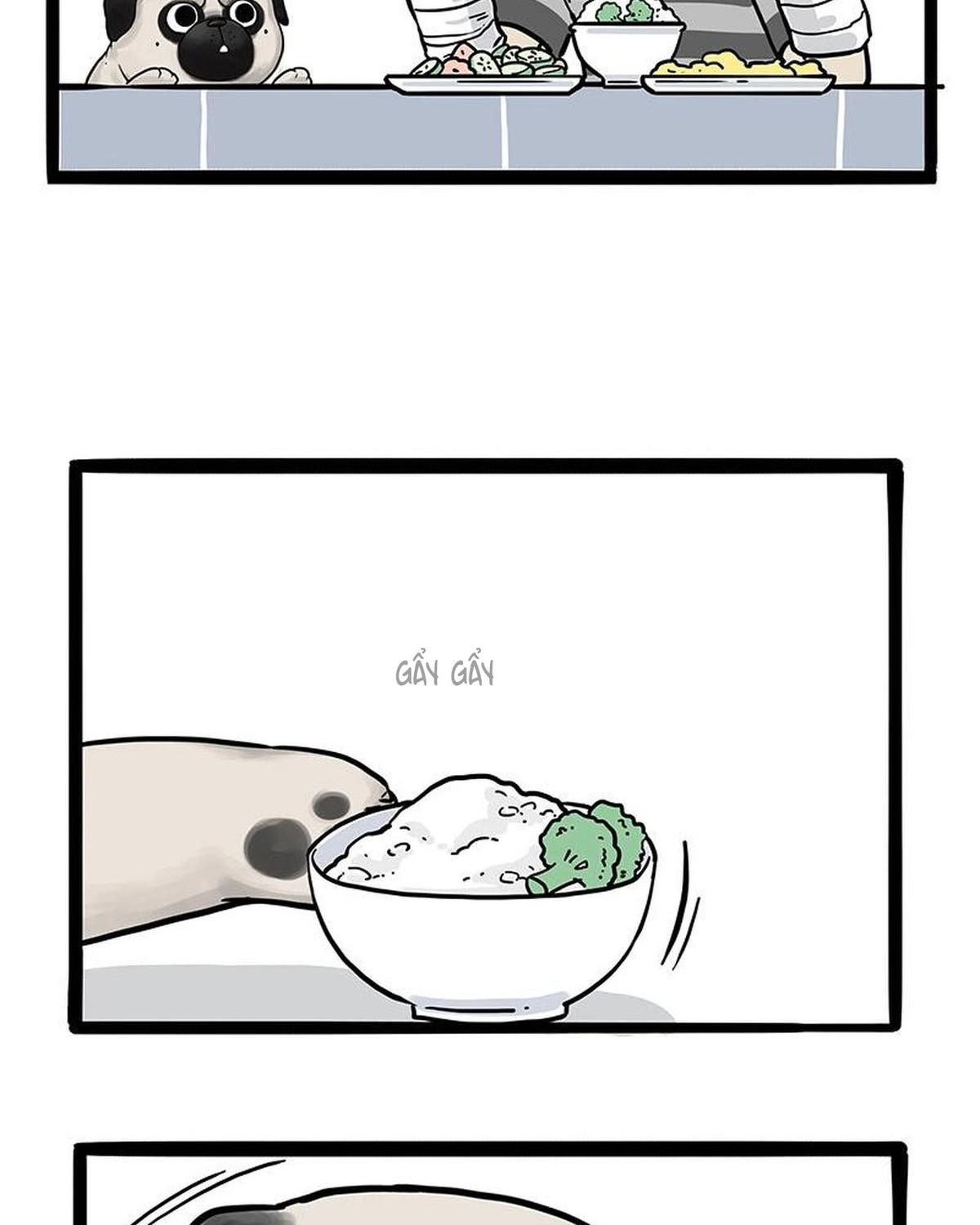 Hoàng Thượng và Ba Trát Hắc: Chapter 186