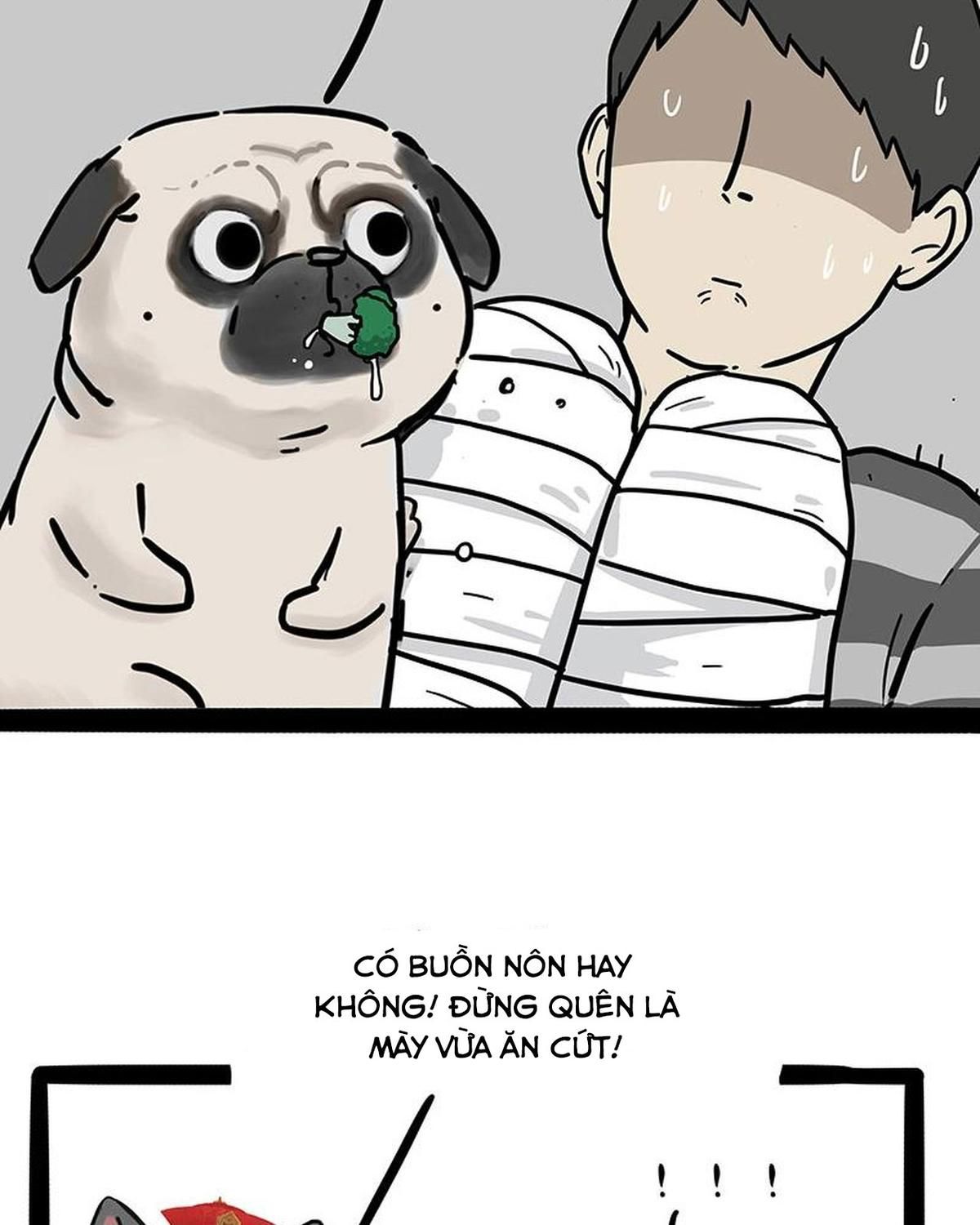 Hoàng Thượng và Ba Trát Hắc: Chapter 186