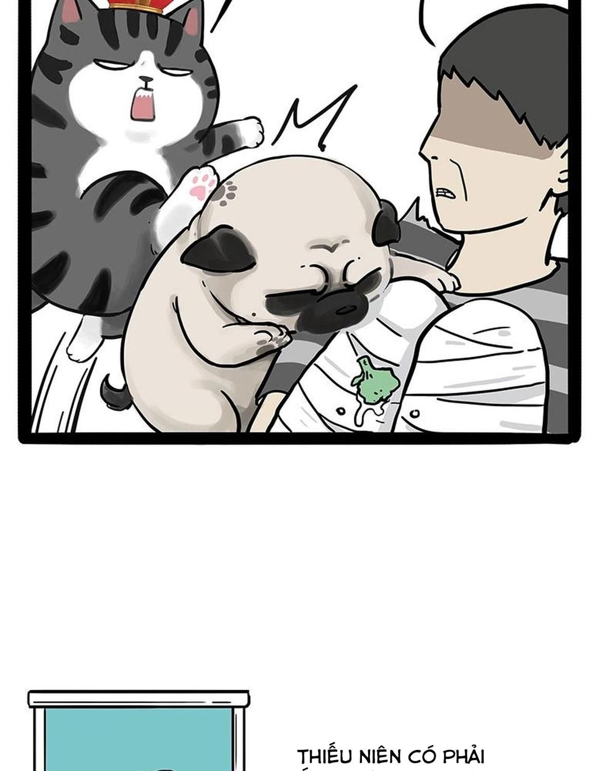 Hoàng Thượng và Ba Trát Hắc: Chapter 186