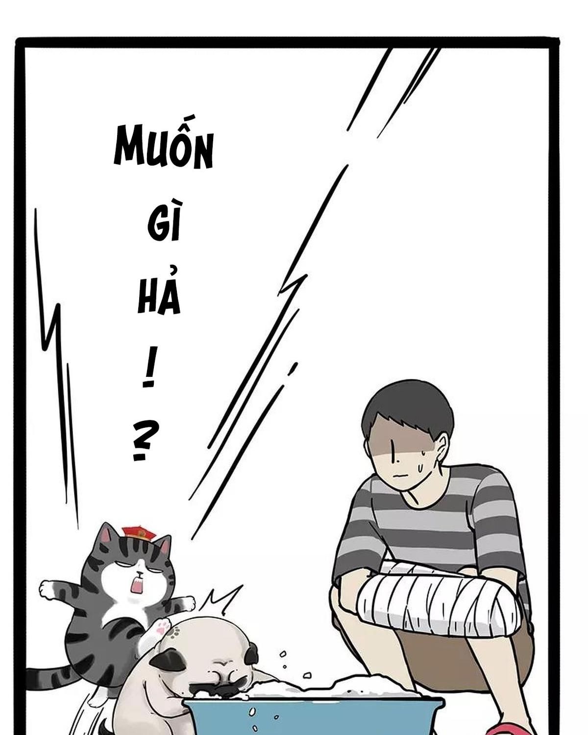 Hoàng Thượng và Ba Trát Hắc: Chapter 186