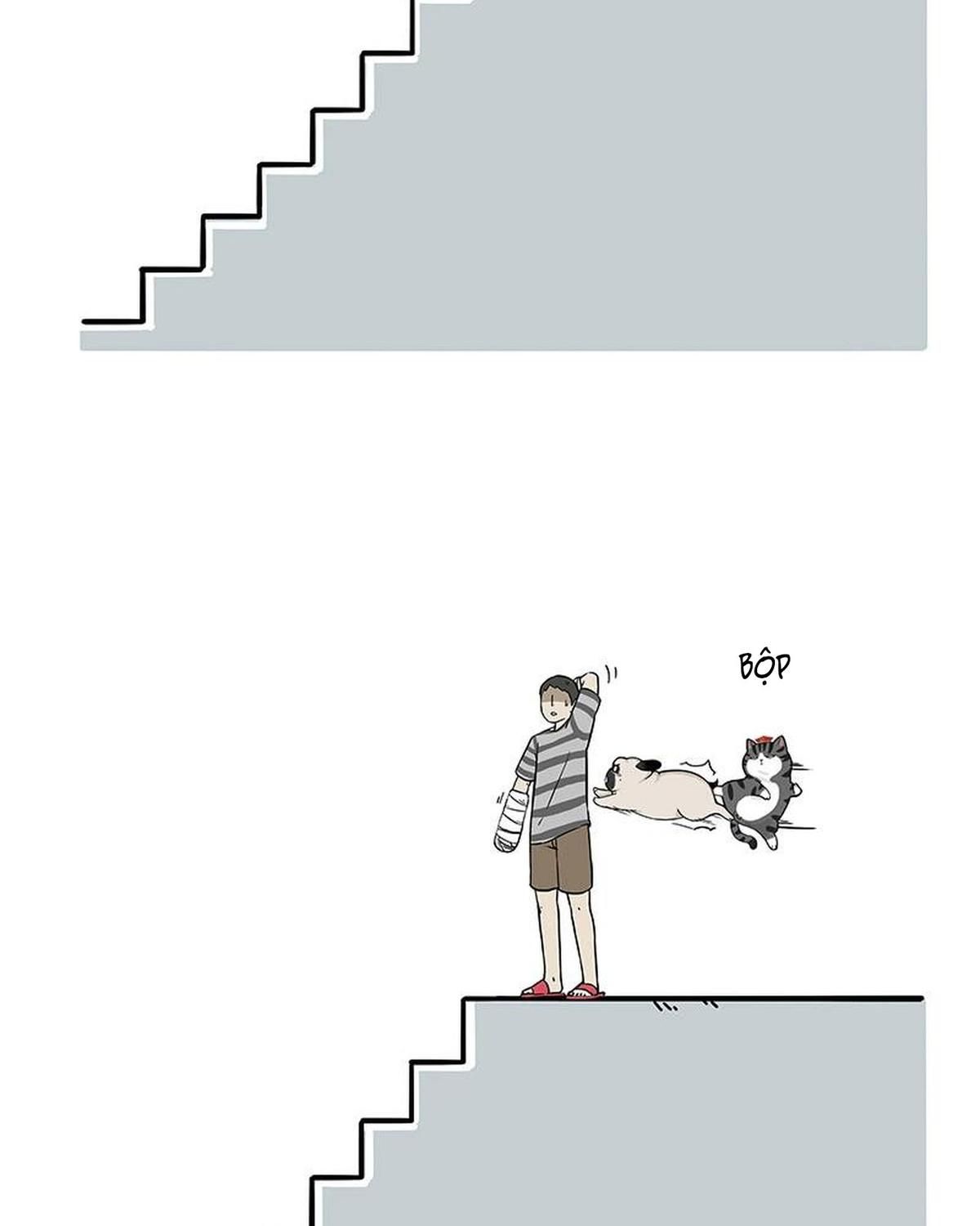 Hoàng Thượng và Ba Trát Hắc: Chapter 186