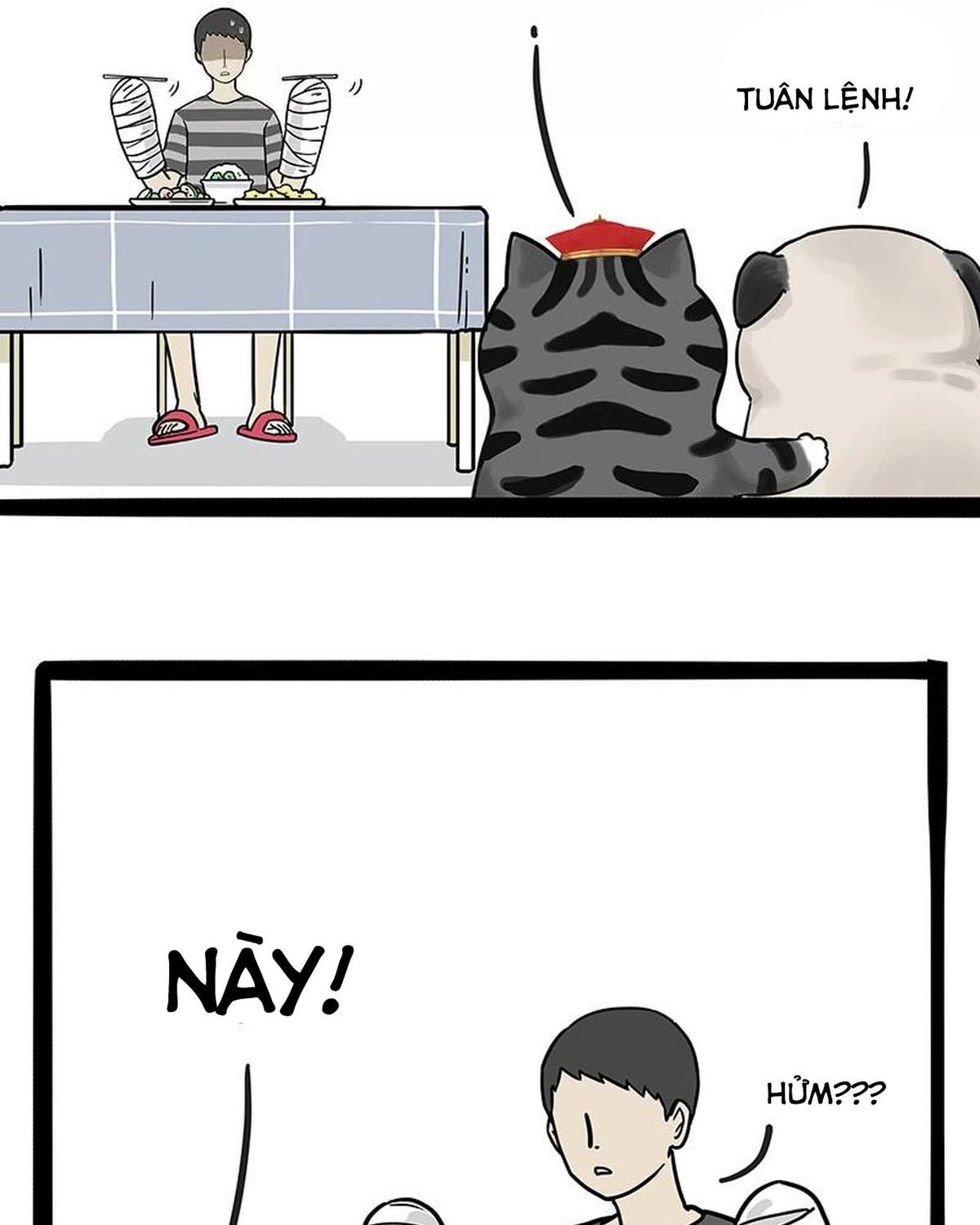 Hoàng Thượng và Ba Trát Hắc: Chapter 186