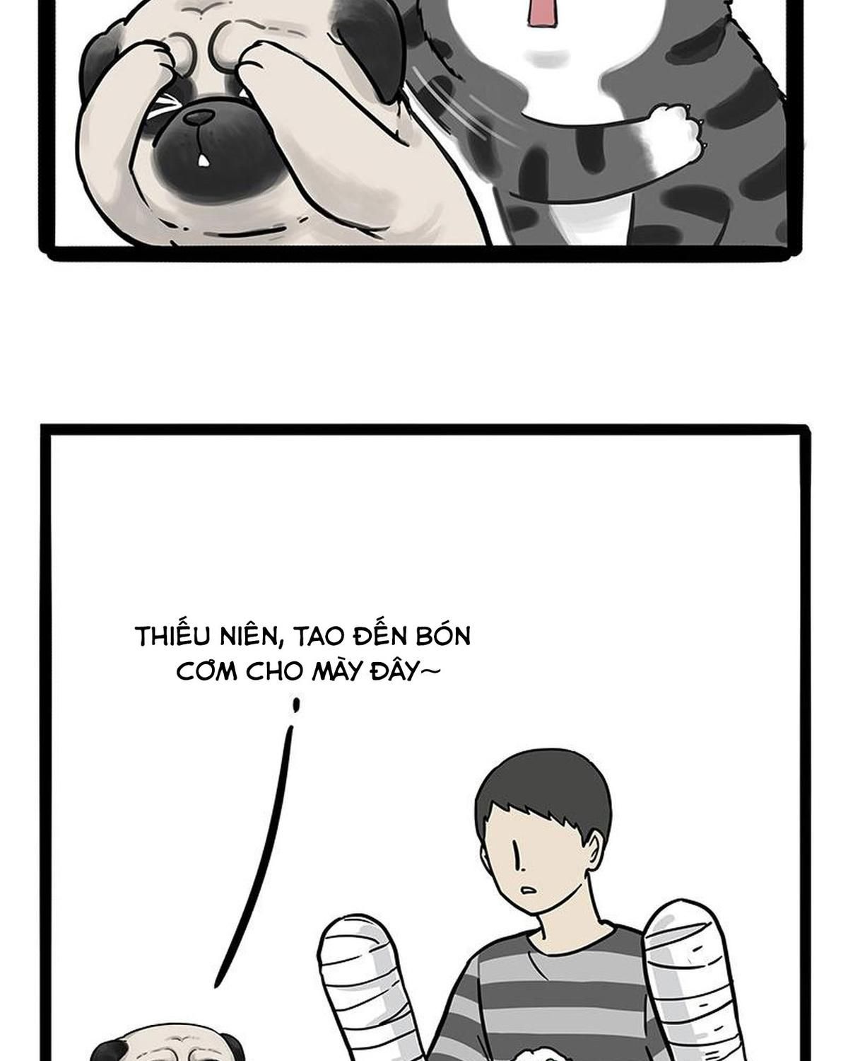 Hoàng Thượng và Ba Trát Hắc: Chapter 186