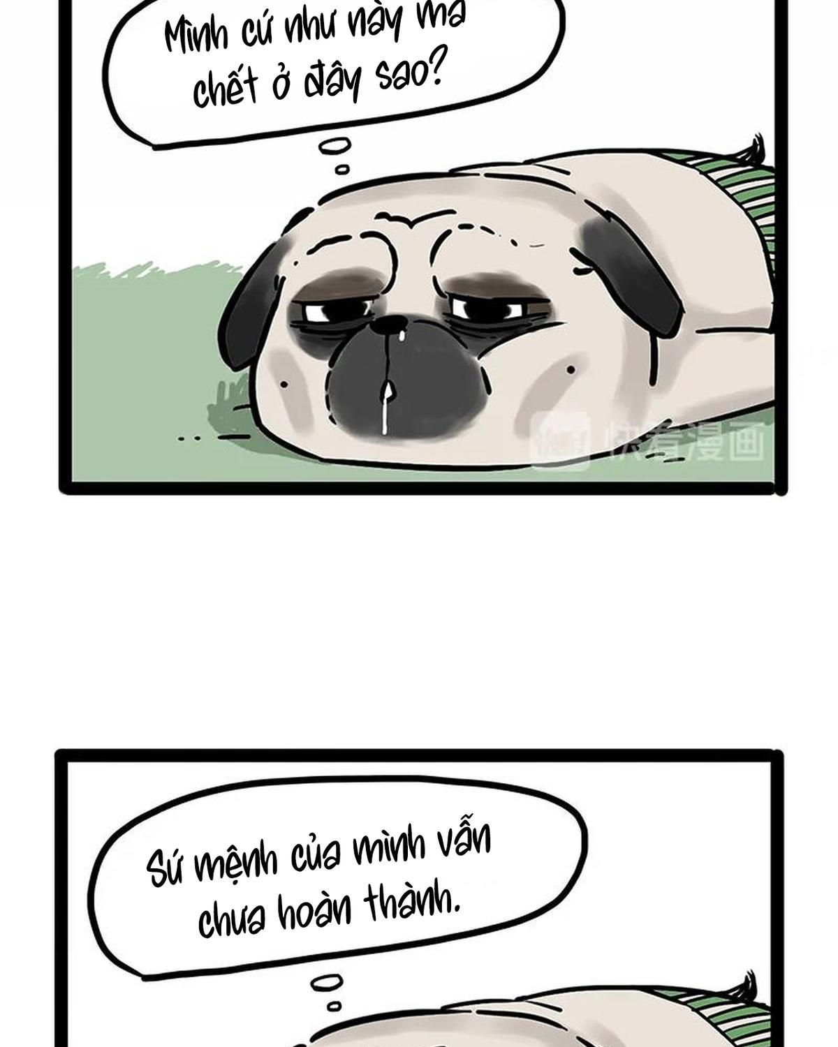 Hoàng Thượng và Ba Trát Hắc: Chapter 190