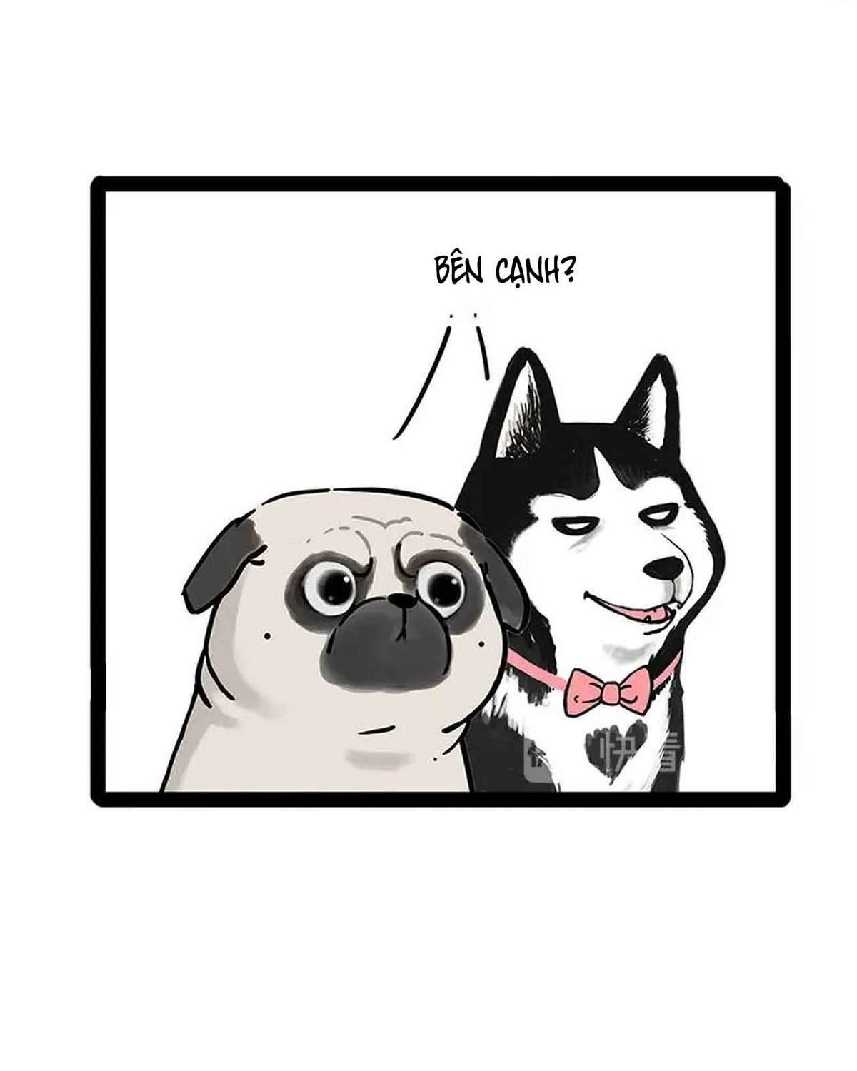 Hoàng Thượng và Ba Trát Hắc: Chapter 194