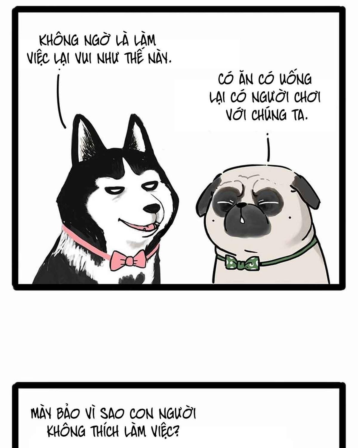 Hoàng Thượng và Ba Trát Hắc: Chapter 194