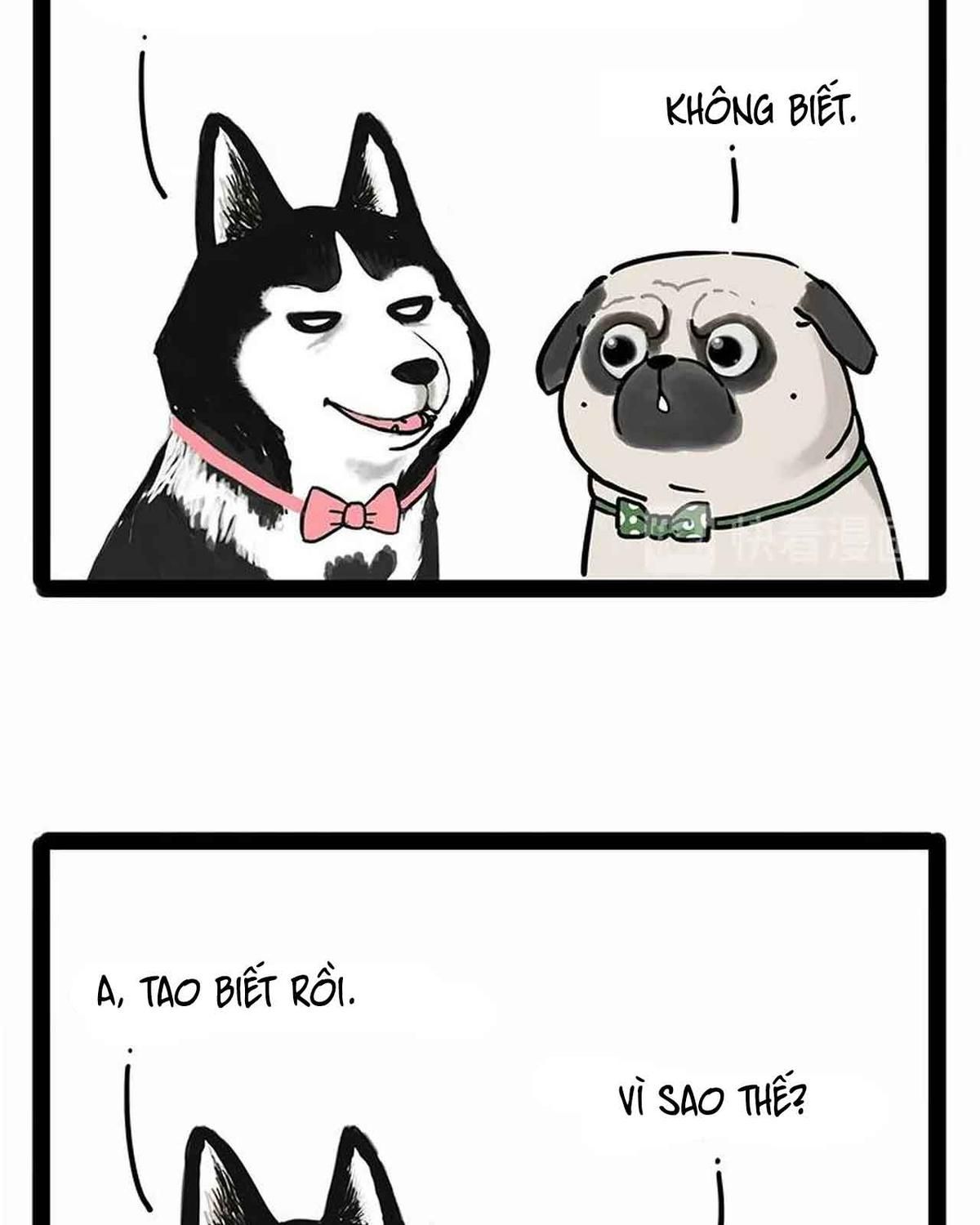 Hoàng Thượng và Ba Trát Hắc: Chapter 194