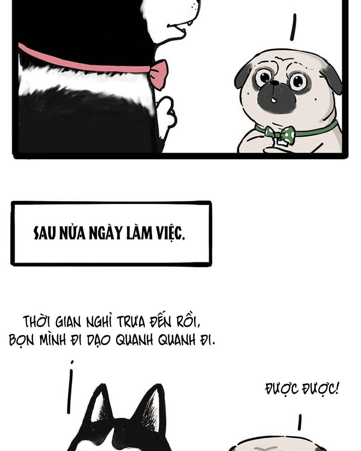 Hoàng Thượng và Ba Trát Hắc: Chapter 194