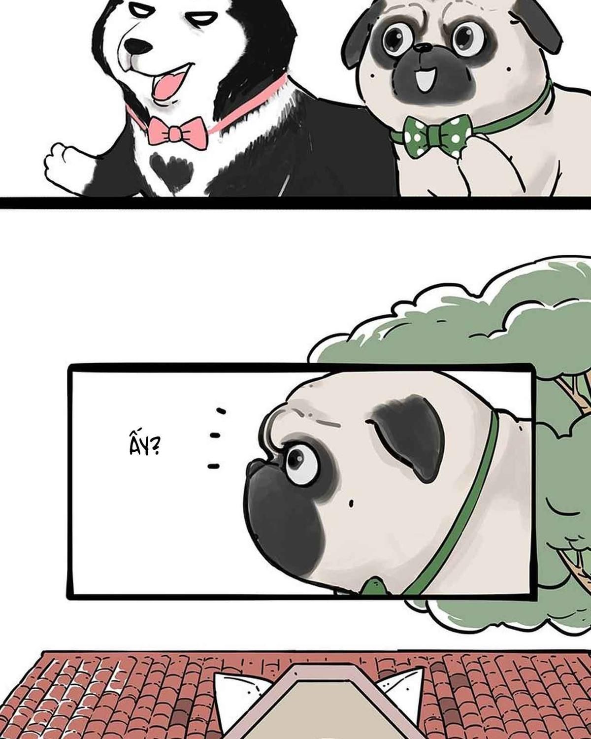 Hoàng Thượng và Ba Trát Hắc: Chapter 194