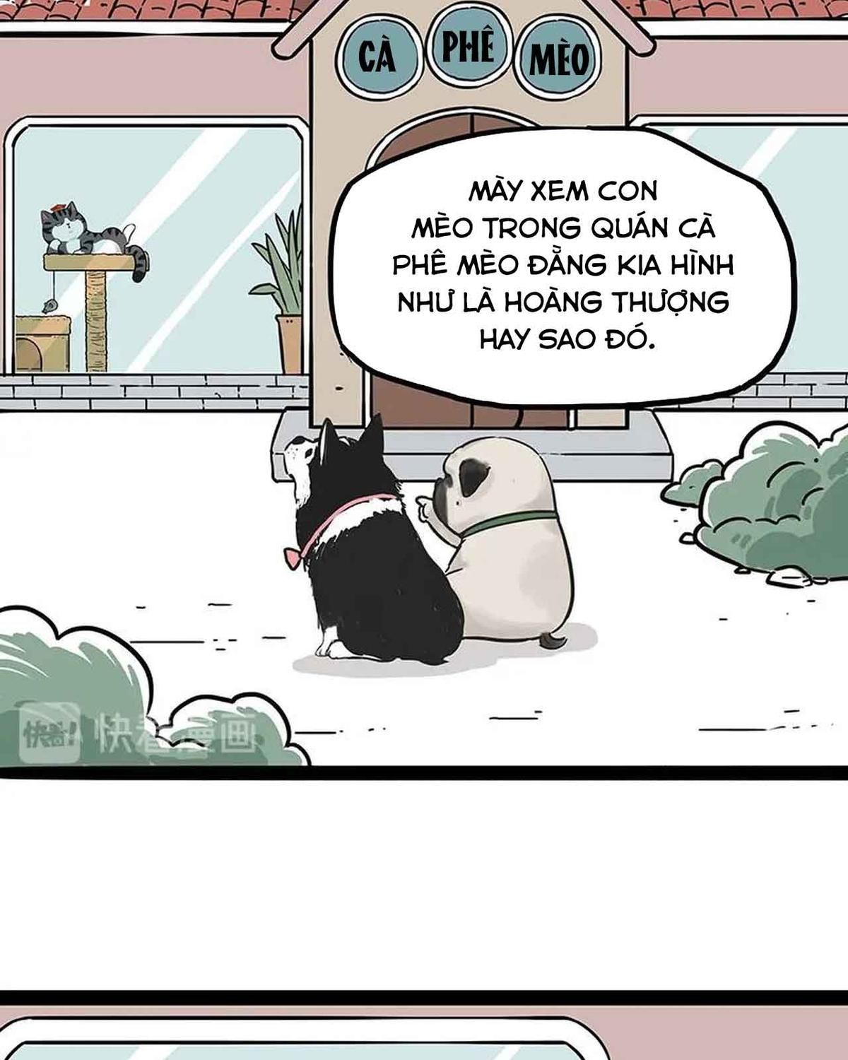 Hoàng Thượng và Ba Trát Hắc: Chapter 194