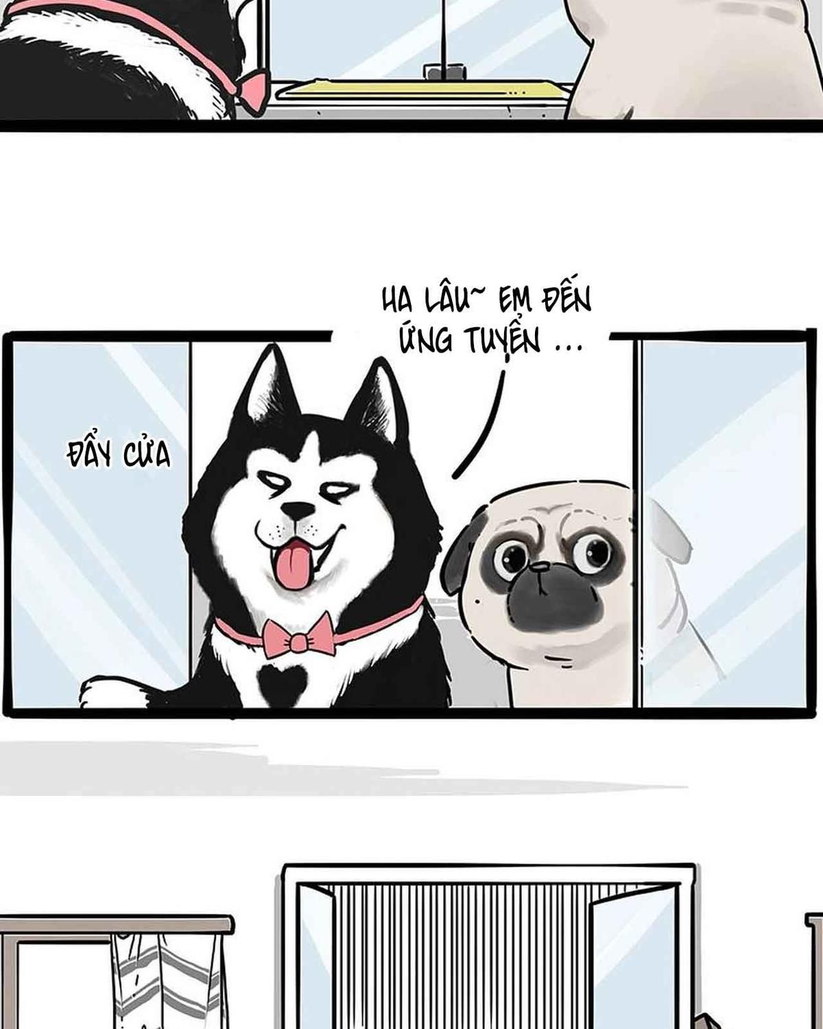 Hoàng Thượng và Ba Trát Hắc: Chapter 194